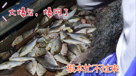 南澳岛赶海日记 彪哥这次出海捕鱼大爆发，海鲜直接大爆网