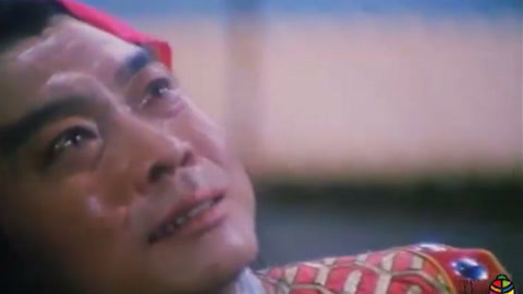 主演 李东桥 熊东林 卫保善 郝彩凤