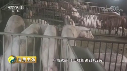 消费主张 《消费主张》 20190912 猪肉价格调查