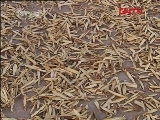 生财有道 《生财有道》 20111214 甘草大王冯自学