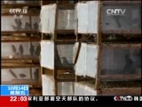 新闻1+1 《新闻1+1》 20161014 如何为鸟，网开一面？
