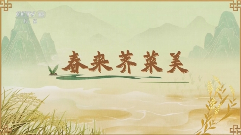 百家讲坛 《百家讲坛》 20260622 食物的历史（第二部） 3 春来荠菜美