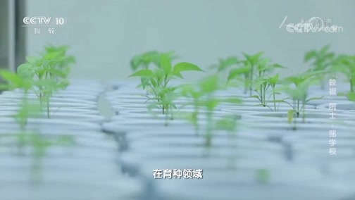 人物&middot;故事 《人物·故事》 20200526 “辣椒”院士·邹学校