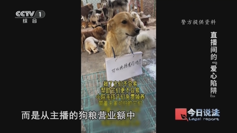 今日说法 《今日说法》 20260803 直播间的“爱心陷阱”