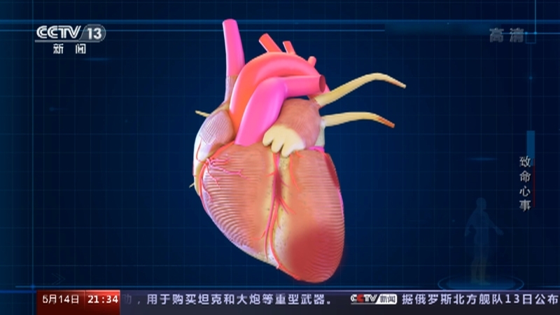 新闻调查 《新闻调查》 20220514 致命心事