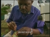 地理中国 阻击入侵者（下）《地理中国》 20130327