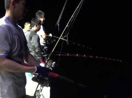 缅甸海山猎马林