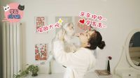举起爪儿来 7招让猫主子更开心 04