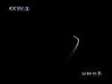 动物世界 动物世界 2010年 第160期