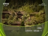 地理中国 《地理中国》 20180520 暗影迷踪（下）