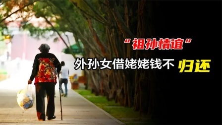品人生百味第二季 外孙女成老赖？外婆倾囊相助，14500元借款拒不归还！