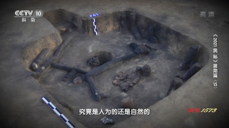 《2021奥秘》 20210730 暑期篇（15）
