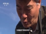 地理中国 《地理中国》 20170402 火山密档·草原神树的背后