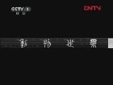 动物世界 《动物世界》 20120207