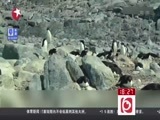东方新闻 《东方新闻》 20160214