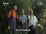 地理中国 《地理中国》 20180529 探秘“天街村”（下）