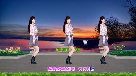 火爆动感广场舞《人这一辈子》简单16步