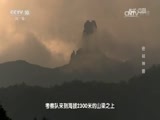 地理中国 《地理中国》 20170520 生物多样性日系列·密林神兽