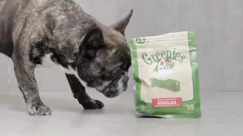 一犬一话 爱它不再口难开。
