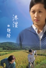 淋湿的翅膀 海报