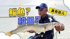 游钓中国第八季