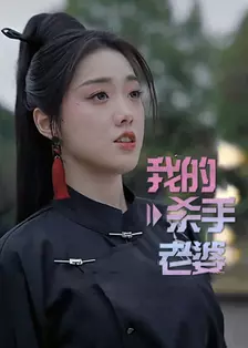 我的杀手老婆