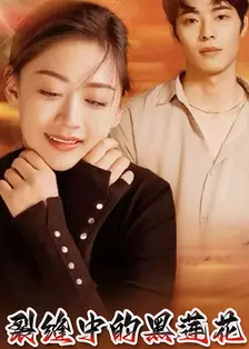 裂缝中的黑莲花 海报