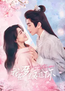 我在梦里爱过你