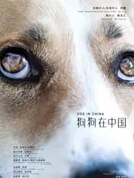 狗狗在中国 海报
