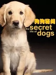 BBC：狗狗秘闻 海报
