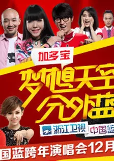 《浙江卫视2013跨年晚会》海报