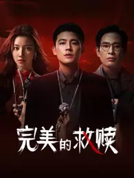 完美的救赎 海报