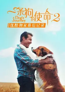 A Viagem do Cão 2- BTS Exclusivo de YOUKU 海报