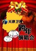 天津卫视2013跨年晚会 海报