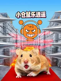 小仓鼠乐逍遥 海报