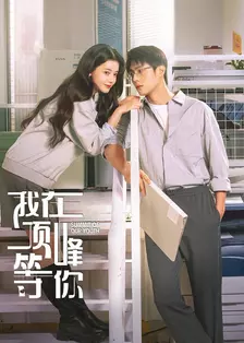 我在顶峰等你 海报