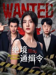 绝境通缉令