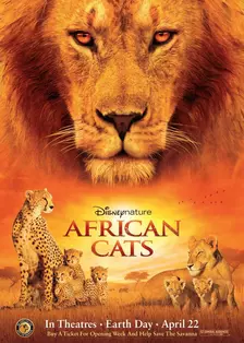 非洲猫科 海报