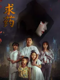 求药 海报