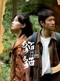 寻找会说话的貊貊 海报