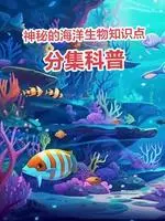 神秘的海洋生物知识点 海报