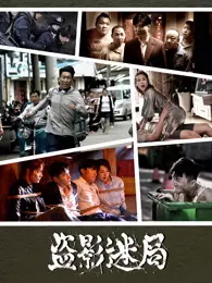 盗影迷局 海报