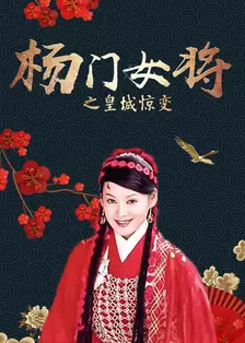 《杨门女将之皇城惊变》海报
