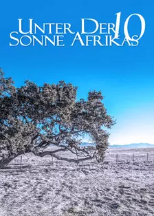 《走进非洲10梦想树》海报
