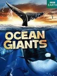 BBC：海洋巨兽 海报