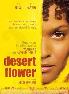 《沙漠之花》海报