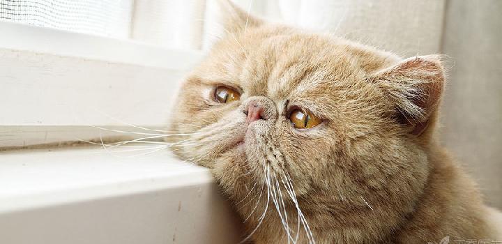 犯困、心慌、多汗u2026u2026身体出现这10种症状，赶紧去做个甲状腺检查吧！