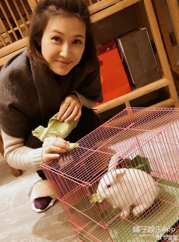 还记得《亮剑》的田雨吗?她现在长这样