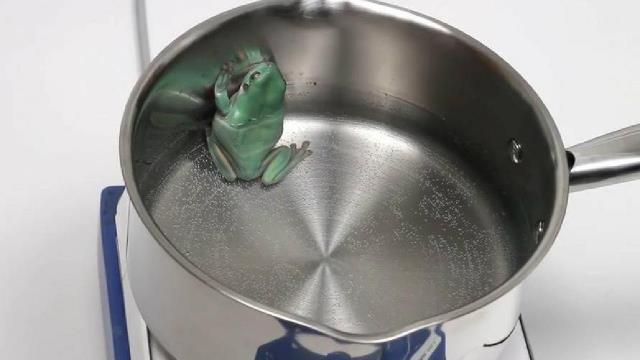 温水煮青蛙图片高清图片