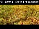 歪歌社团 祝贺山东高密市开拍剧版